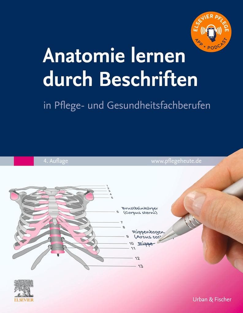 Anatomie lernen durch Beschriften