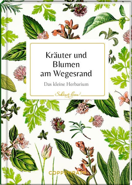 Kräuter und Blumen am Wegesrand