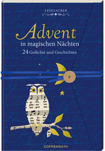 Brief-Adventskalenderbuch - Advent in magischen Nächten