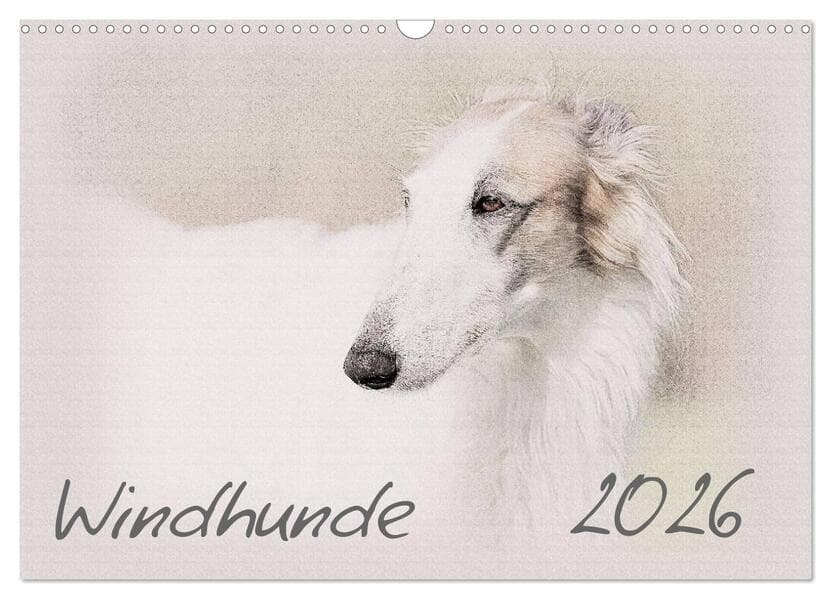 Windhunde 2026 (Wandkalender 2026 DIN A3 quer), CALVENDO Monatskalender