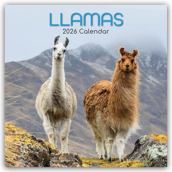 Llamas - Lamas 2026 - 16-Monatskalender