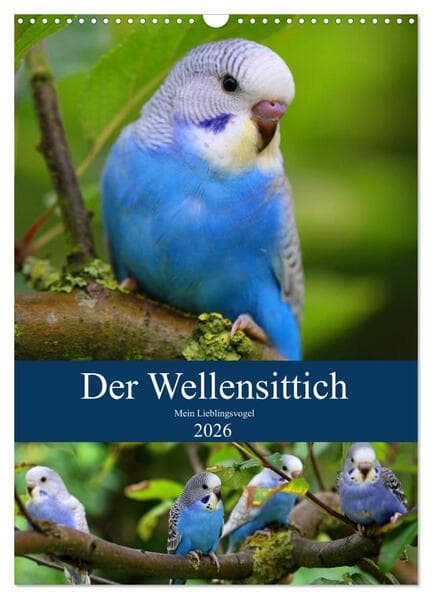 Der Wellensittich - Mein Lieblingsvogel (Wandkalender 2026 DIN A3 hoch), CALVENDO Monatskalender