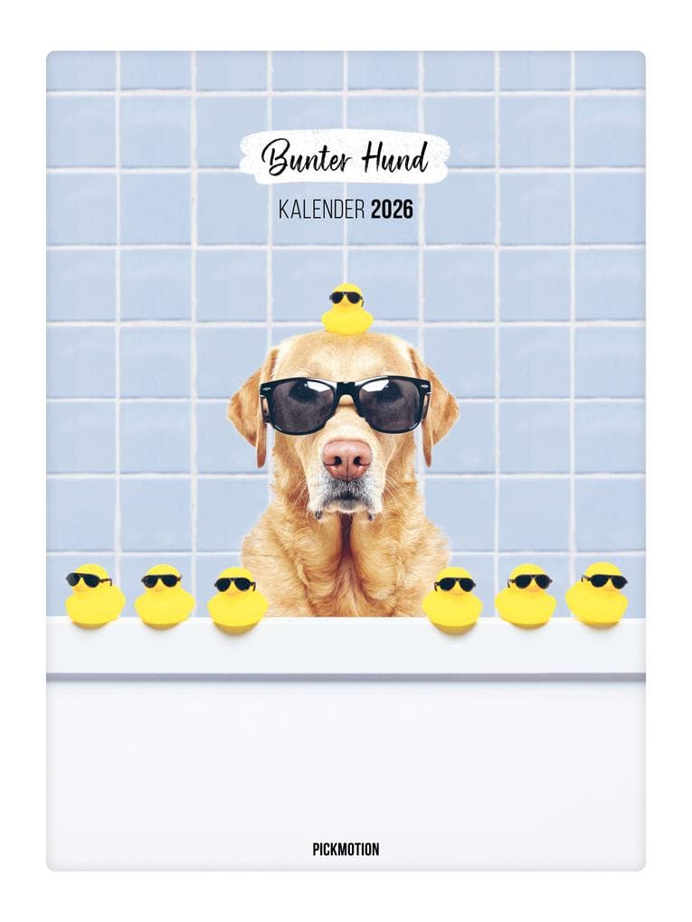 Wandkalender 2026 - Bunter Hund