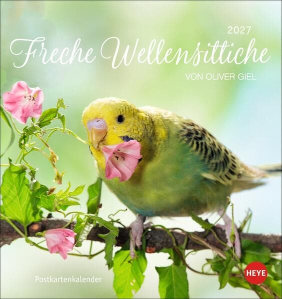 Freche Wellensittiche Postkartenkalender 2027