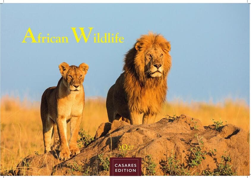 Wilde Tiere Afrikas Kalender 2027 - Wandkalender | Fotokalender Afrika 24x35cm | Naturfotografie | Tierkalender Afrika | Geschenk für Naturliebhaber